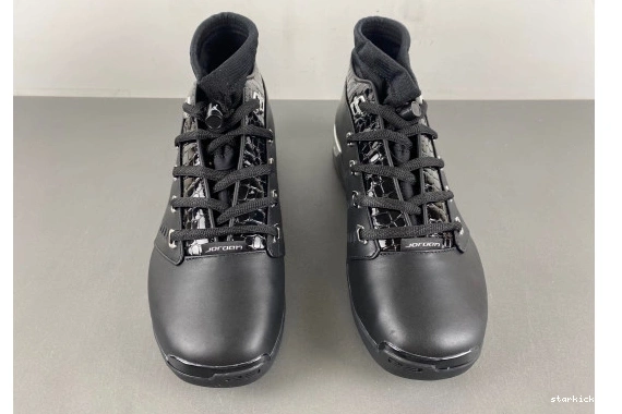 303891-004  Silver 17 303891-004  Jordan Metallic Black 0101